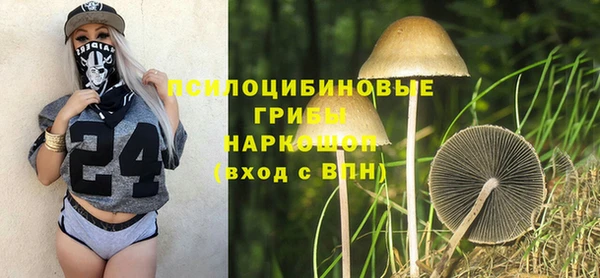 мдпв Арсеньев