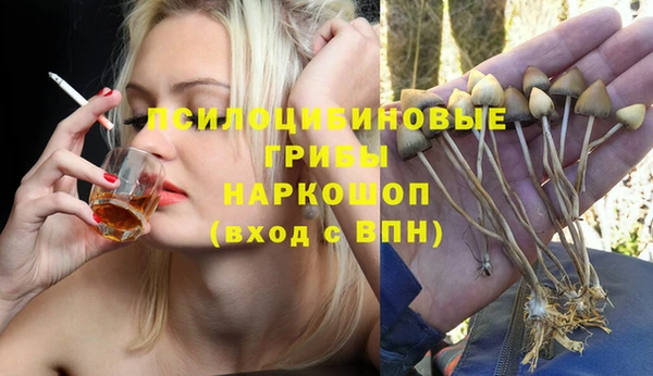 Альфа ПВП Армянск
