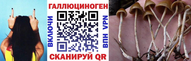 Галлюциногенные грибы MAGIC MUSHROOMS  Иннополис 